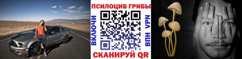 купить закладку Нижний Тагил Галлюциногенные грибы GOLDEN TEACHER